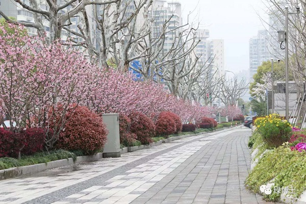 图说：虹口新建路 采访对象供图（下同）