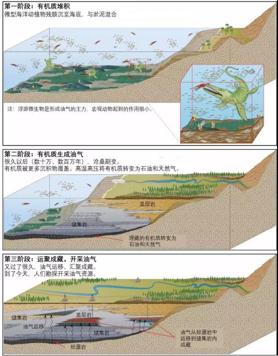 谈论油价，先来搞清其中的科学原理 | 袁岚峰