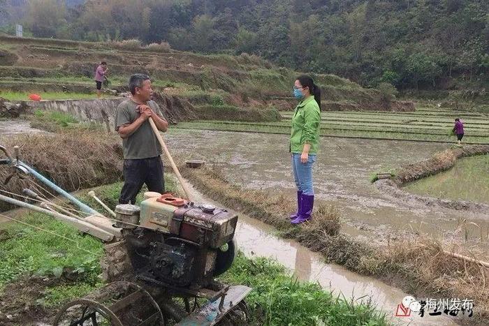 【扶贫】广州女干部携家带口来梅州扶贫