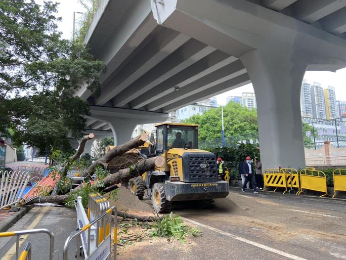 雨水冲刷！东晓南路地陷原因初步查明，傍晚恢复通车