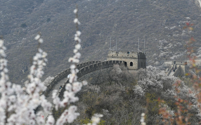 慕田峪长城景区首日开放。新京报记者 王颖 摄