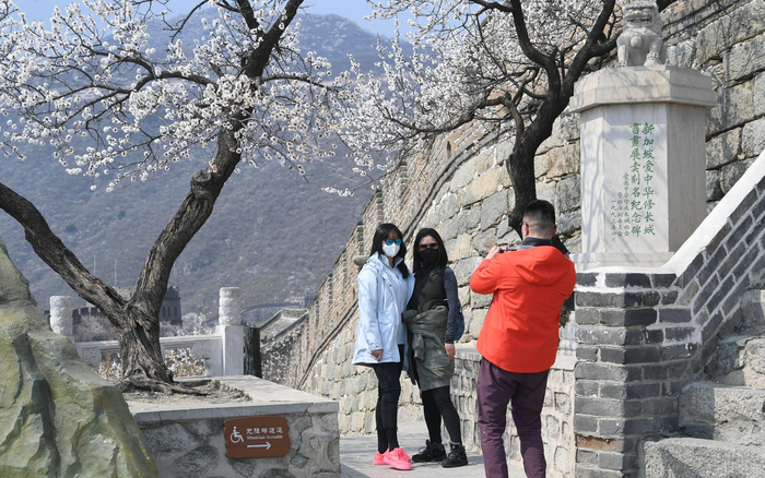  游客在开满鲜花的树下拍照留念。新京报记者 王颖 摄&nbsp;