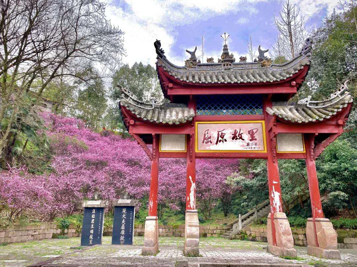 图/摄影师 宋浪浪