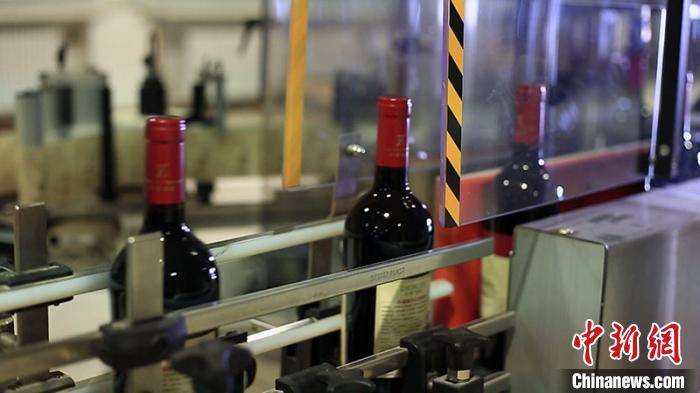 焉耆县酒庄的葡萄酒生产线。　刘雨珊 摄