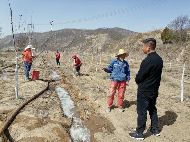 安定镇国智山地苹果种植家庭农场： 念好苹果致富经 勇当改革先行者