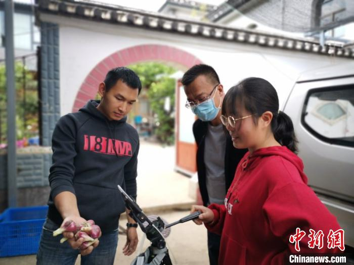 　　图为杨宁为网友展示农产品 龚飞/摄