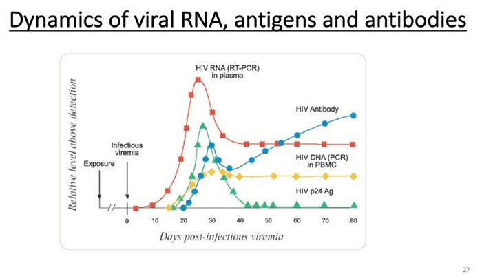 金冬雁：前6种人类冠状病毒和HIV研究带来的抗击新冠思路