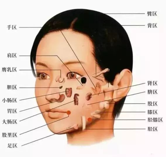 中医妙解医诊—面诊、舌诊、眼诊治疗疑难杂症