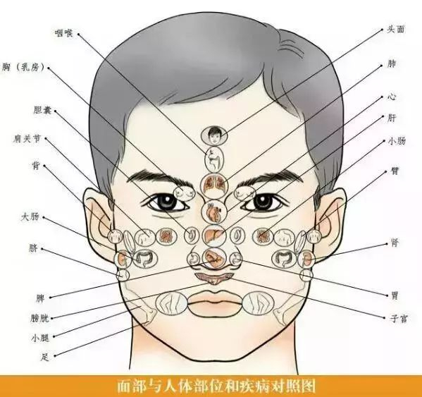 中医妙解医诊—面诊、舌诊、眼诊治疗疑难杂症