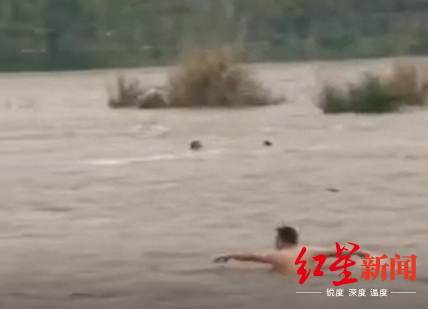 事发时，有见义勇为市民下水营救。现场视频截图