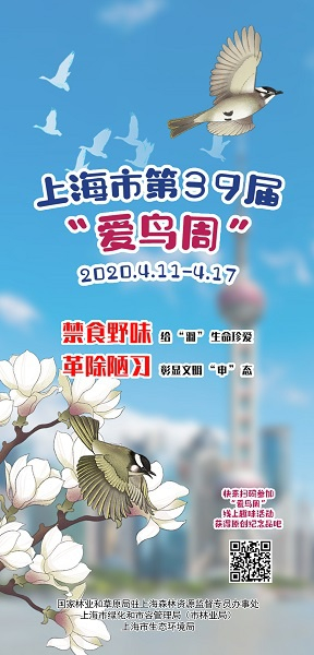 图说：主办单位海报  来源/采访对象供图（下同）