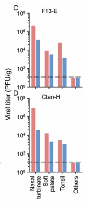  C、接种F13-E，D、CTan-H的雪貂脏器或组织中的病毒滴度。