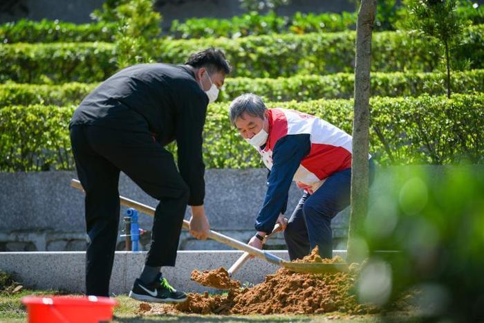 广州12家经营性墓园推广骨灰植树还林，明年清明或可安葬首批骨灰