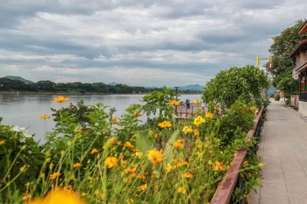  ▲资料图片：游客在泰国黎府清堪小镇参观湄公河沿岸风光。（新华社）