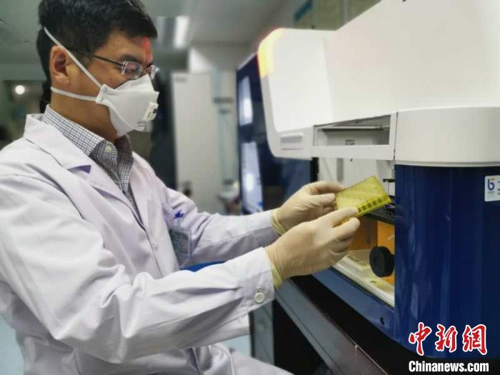 资料图：深圳与清华大学科研团队分离出抗新冠病毒抗体，图为科研人员在工作中。