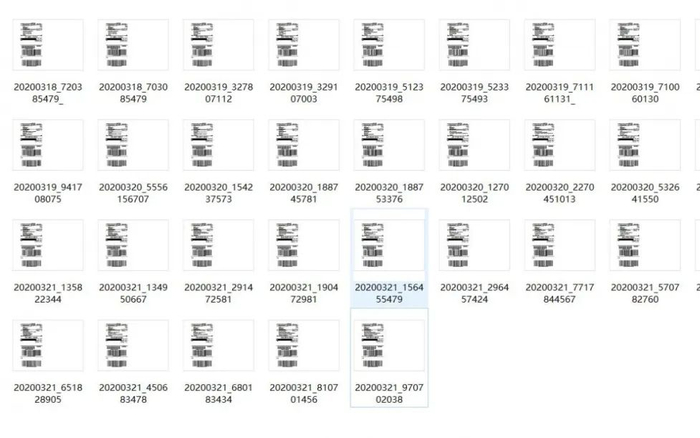 张树文接到的部分订单截图。受访者供图