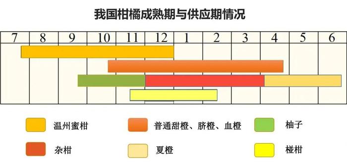 早熟柑橘中的佼佼者——由良蜜柑