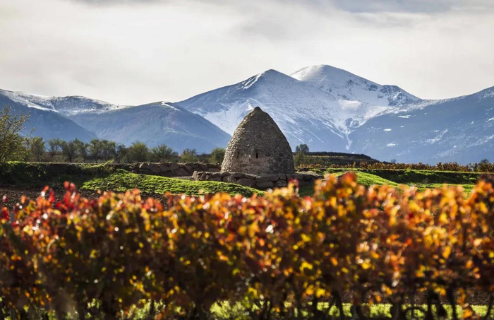 *图片来源于DOCa Rioja