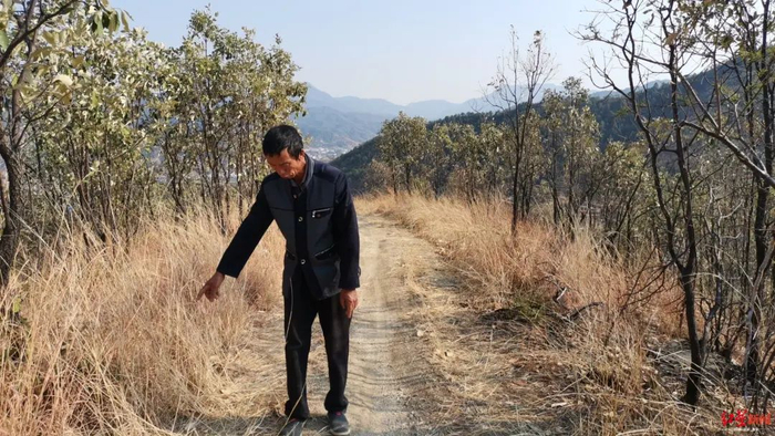 何元能说，道路两旁大多是压草