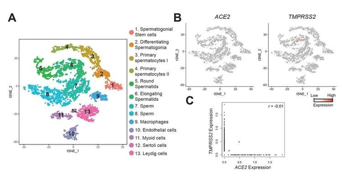  武汉同济生殖医学专科医院微信公众号 图