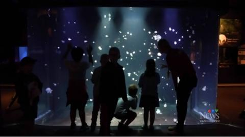 闭馆前的水族馆（CTV新闻视频截图）