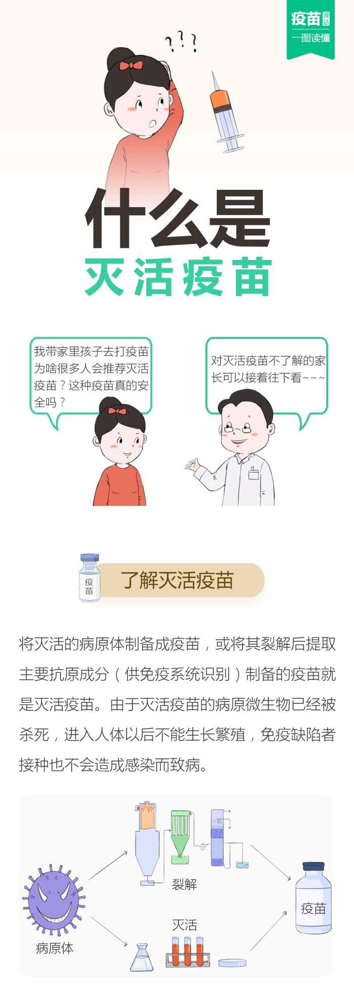 【疫苗漫画】什么是灭活疫苗？百白破疫苗、狂犬病疫苗……这些都是！