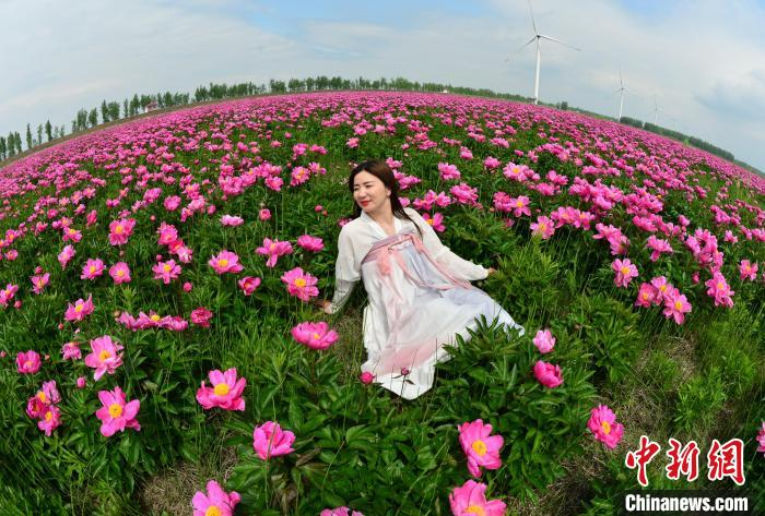 靓丽的花海风景吸引游客拍照留念。　杨风胜 摄