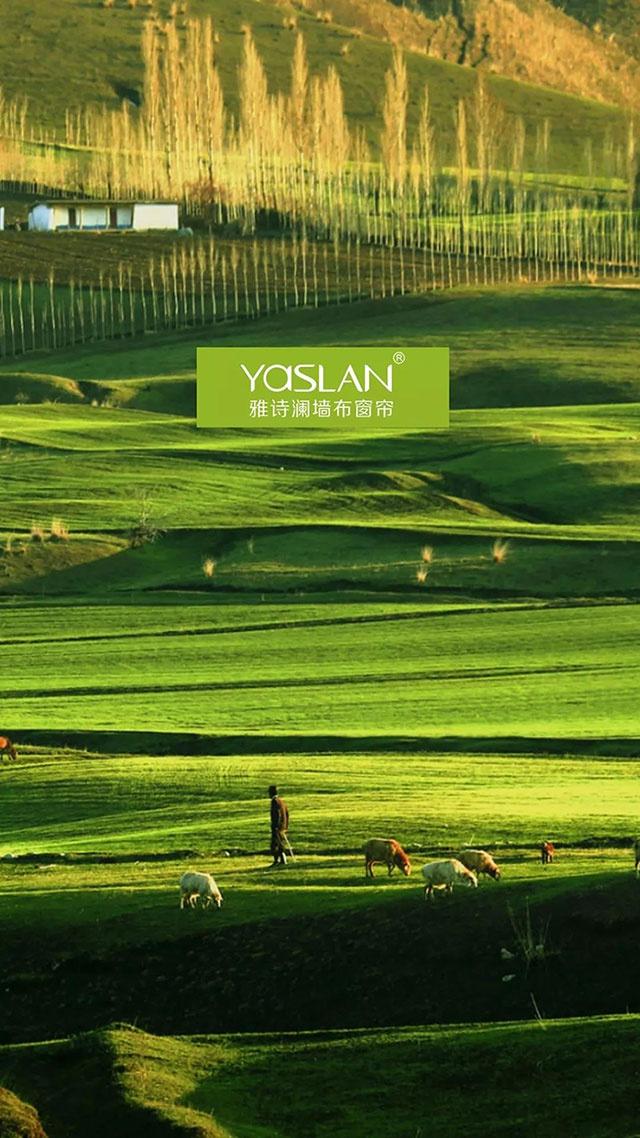 【YASLAN】采菊东篱下 悠然见南山 把生活过成诗的样子