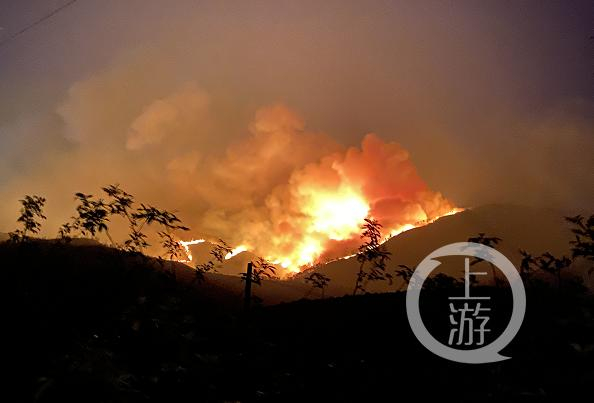 ▲3月31日，大营农场柳树桩火灾现场。图源于网络