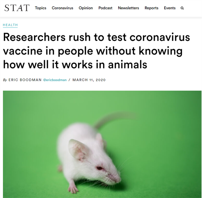 　　▲《STAT》报道称，研究人员急于在人身上测试新冠疫苗，却跳过了动物有效实验，这打破了科学常规步骤。截图自《STAT》