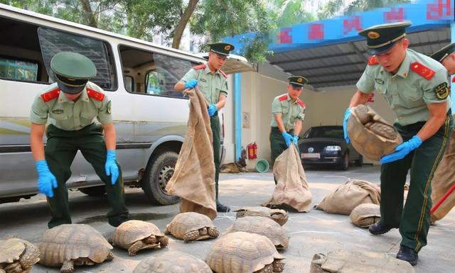 中国海警局等四部门开展“碧海2020”海洋生态环境保护专项执法行动