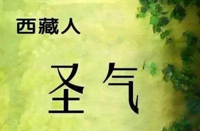 中国各省人的气质，总结得太到位了！看看你省的气质是什么？