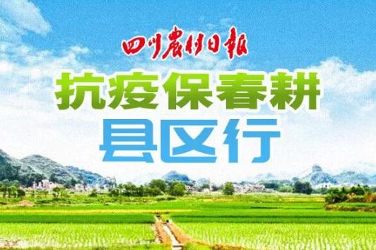 在撂荒地和再生稻中寻找增量——专访富顺县农业农村局局长胡世刚