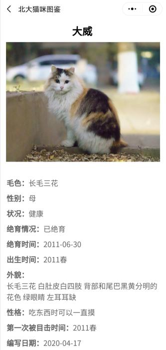 “北大流浪猫图鉴”小程序截图