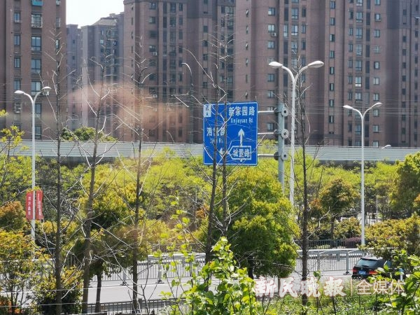 图说：一路之隔的地铁9号线 新民晚报记者 王军/摄