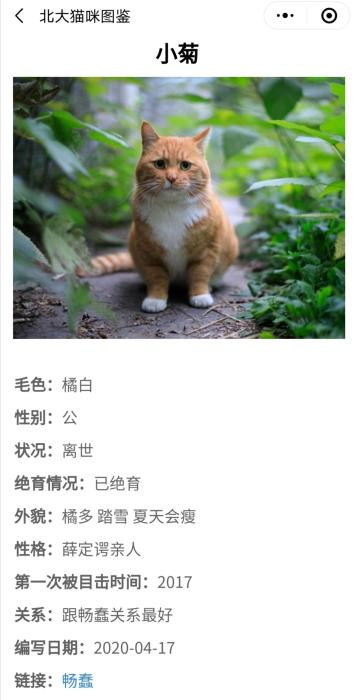 “北大流浪猫图鉴”小程序截图