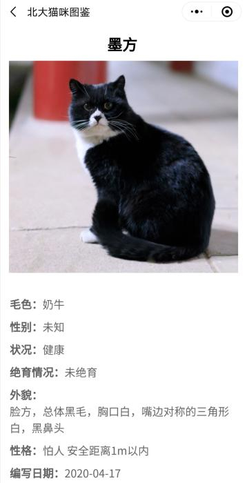 “北大流浪猫图鉴”小程序截图