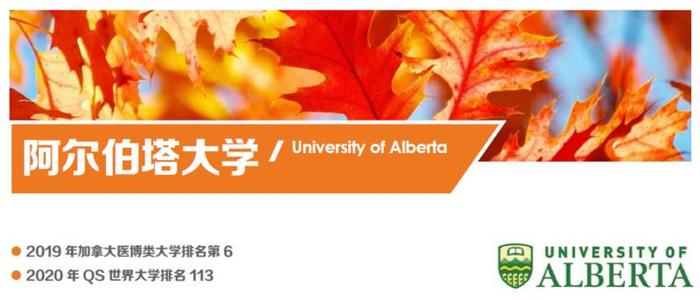 如何兼顾学业&就业，收获多伦多大学、麦吉尔大学等名校offer?