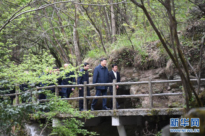 4月20日，习近平在位于商洛市柞水县的秦岭牛背梁国家级自然保护区，考察秦岭生态保护情况（图源：新华社）