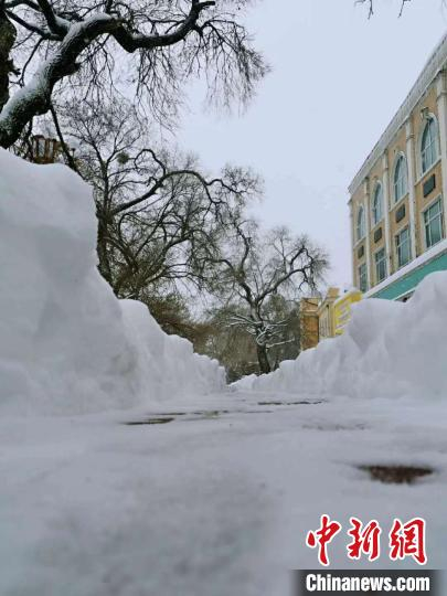     图为呼伦贝尔降雪。　呼伦贝尔气象局供图　