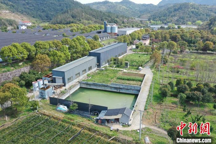诸暨生态农场实现畜禽粪污零排放。绍兴市生态环境局供图