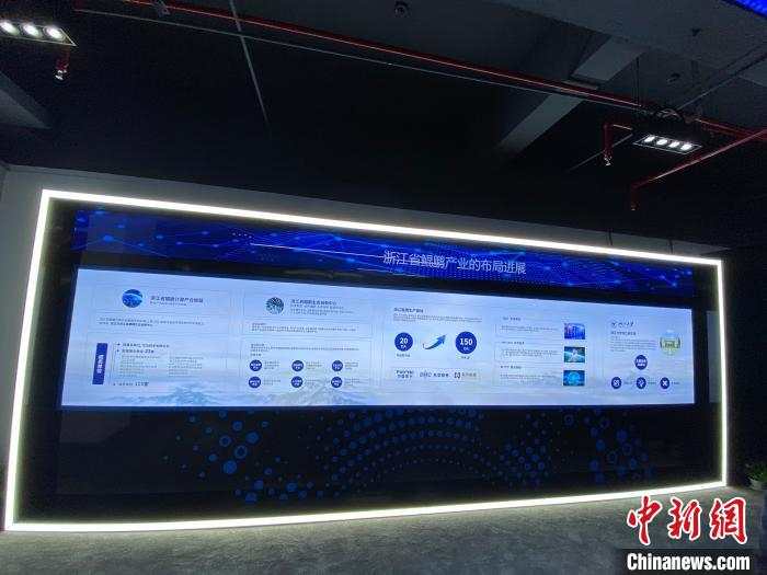 浙江省鲲鹏产业的布局进展。　黄慧 摄