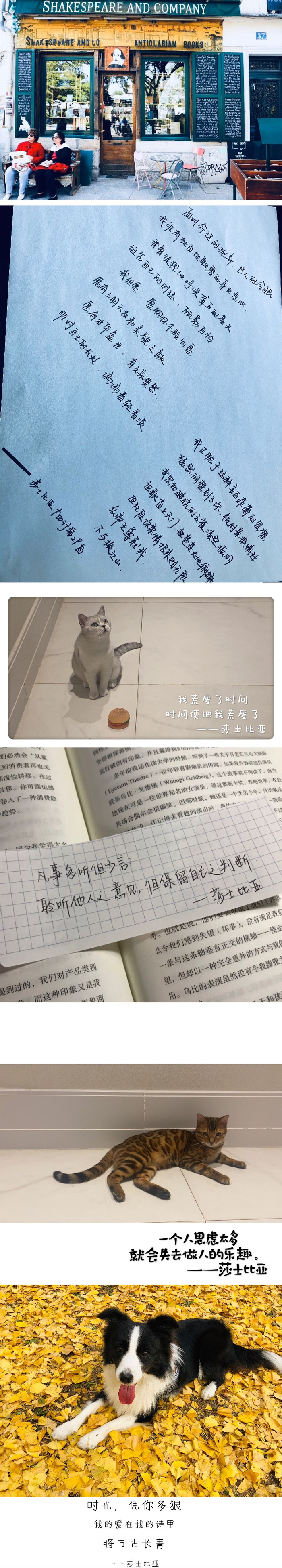 莎士比亚生日快乐！21位华语戏剧人献上他们的礼物