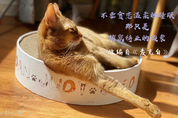 莎士比亚生日快乐！21位华语戏剧人献上他们的礼物
