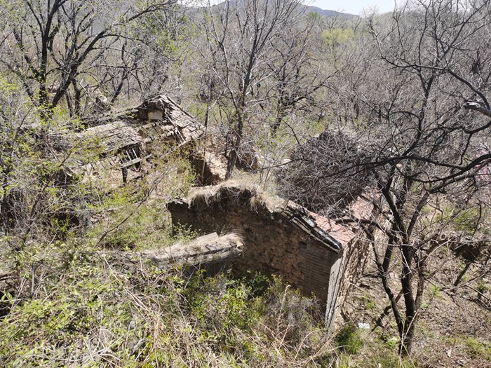 历经20年风雨，村里的房屋绝大部分都已经失去了原来的样子。新京报记者 王颖 摄