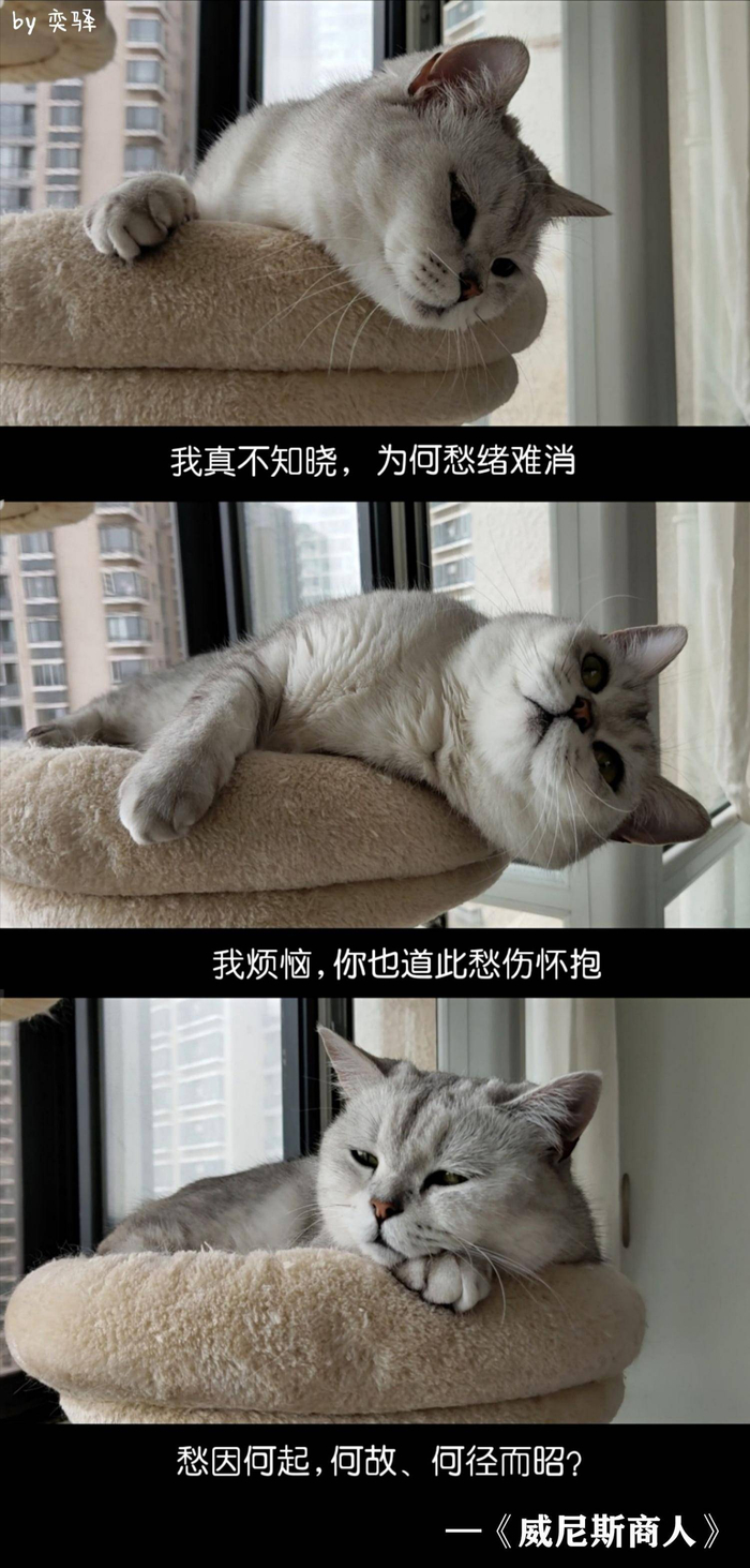 莎士比亚生日快乐！21位华语戏剧人献上他们的礼物