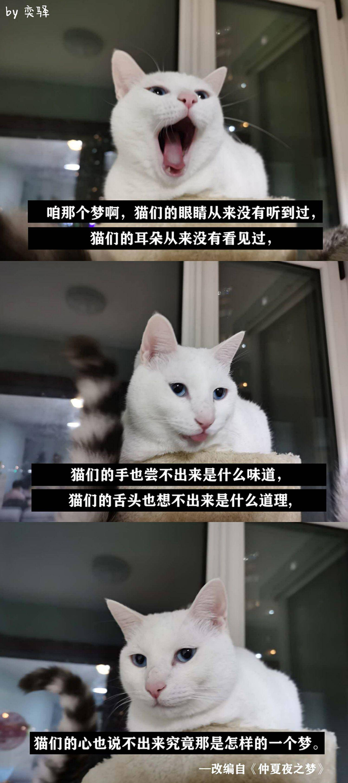 莎士比亚生日快乐！21位华语戏剧人献上他们的礼物