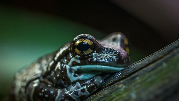 图片来源：Pexels