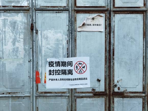 被隔离的兴福豪猪养殖场。摄影：梁宙