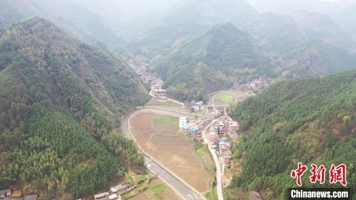 门楼下瑶族乡珍野菜种植基地。　蒋军君 摄